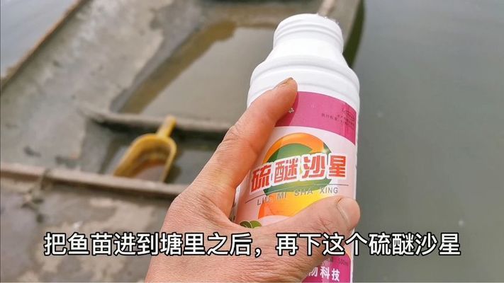 红龙鱼幼苗用臭氧消毒吗：红龙鱼幼苗使用臭氧消毒吗