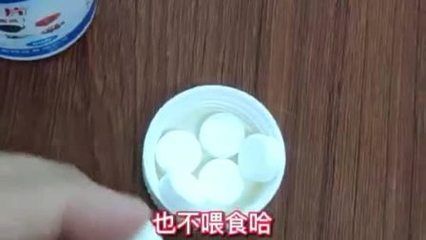 魟鱼内寄用什么药：魟鱼内寄的治疗方法 魟鱼百科 第3张