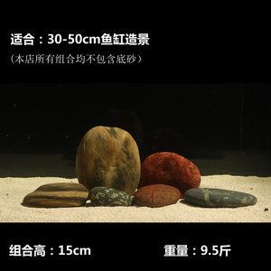 1.5鱼缸有多重：1.5米的鱼缸有多重 鱼缸百科 第3张