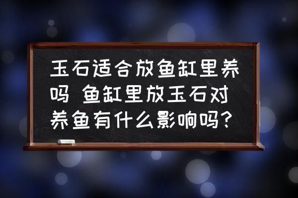 白玉石放鱼缸好不好养鱼苗：玉石放入鱼缸后，可能会对水质产生一定的影响 鱼缸百科 第1张