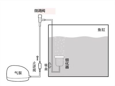 大型鱼缸的安装方法：大型鱼缸安装方法和注意事项