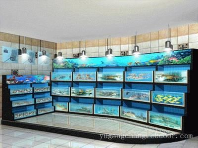 崇州哪里有卖鱼缸的店面出售啊：崇州市内几个与鱼缸销售相关的商家