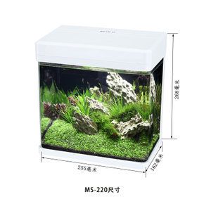 博宇鱼缸型号 EAF1000p 鱼缸百科 第4张