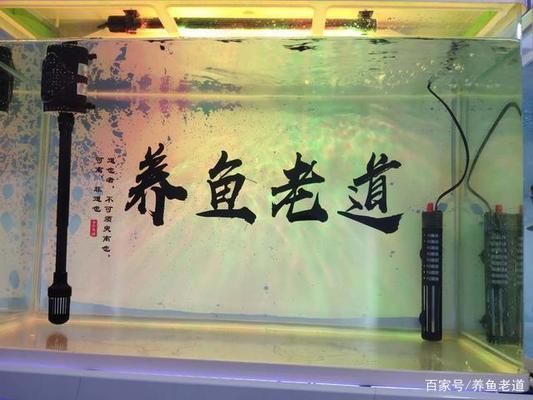 大梅家的鱼缸好不好用呀：大梅家的鱼缸怎么样？ 鱼缸百科 第4张