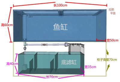 1米2的鱼缸多高合适放鱼 鱼缸百科 第2张