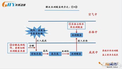 100l水是多大鱼缸：100升水的鱼缸尺寸是多大？