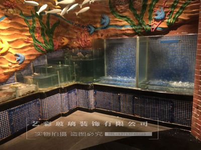 定做回收各种规格海鲜鱼缸,大型、异型海鲜池：武汉地区58同城网站观赏鱼缸定做、海鲜池定做服务 鱼缸百科 第4张