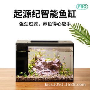 不用过滤的原生态鱼缸：不用过滤器的养鱼方式