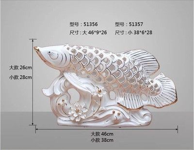 金龙鱼规格有几种型号：金龙鱼的规格有几种型号 龙鱼百科 第1张