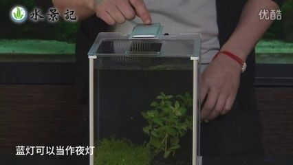 大型鱼缸安装视频教学全集：大型鱼缸的安装步骤和注意事项