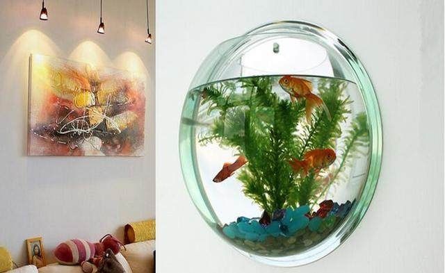 创意小鱼缸：创意小鱼缸、创意鱼缸、创意鱼缸、创意鱼缸的优点与缺点