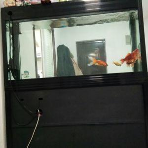 出售二手鱼缸水族箱,具体信息请看详情怎么写：二手鱼缸水族箱出售信息 鱼缸百科 第3张