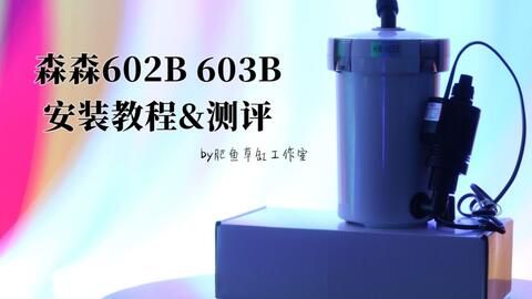 森森603b容量：关于森森603b过滤桶容量的一些详细信息 森森鱼缸