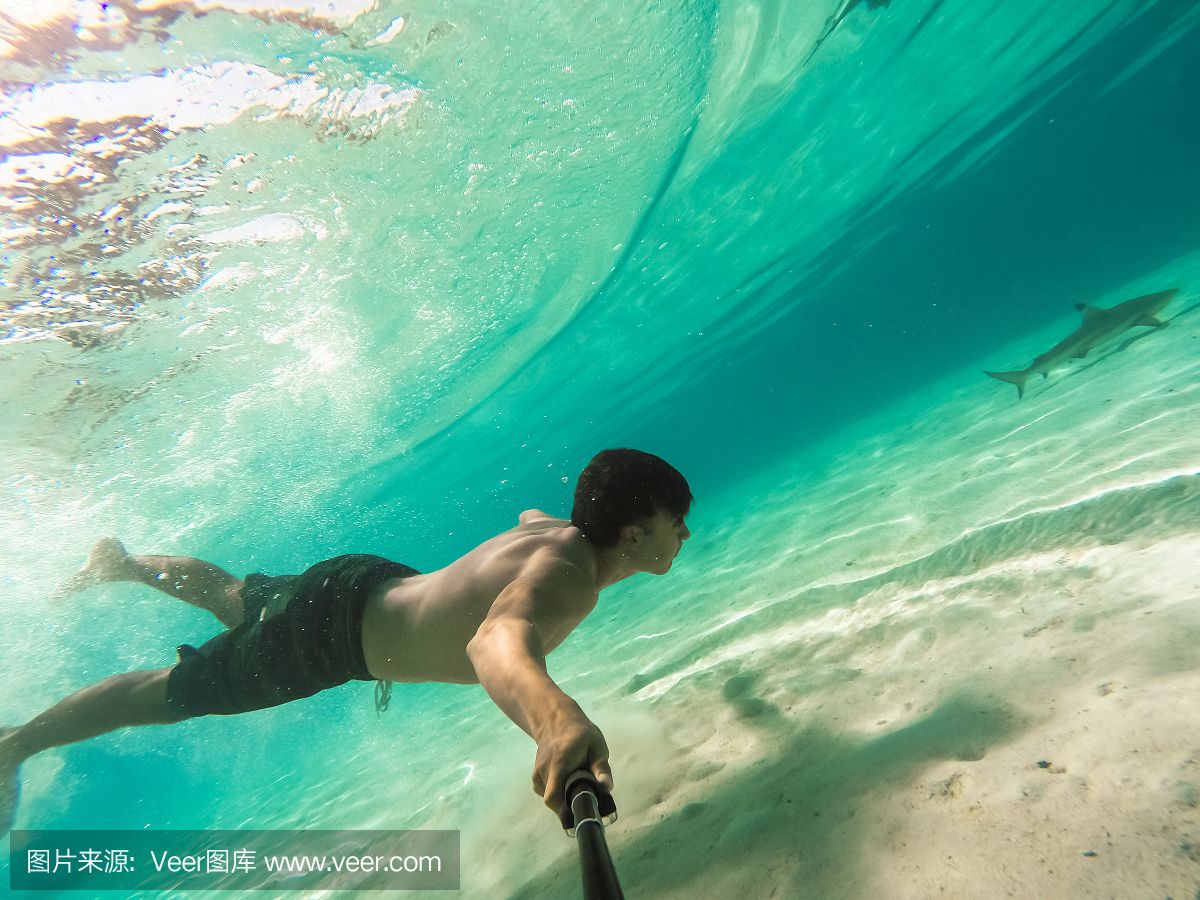 魟鱼浮在水面不动：魟鱼浮在水面不动是什么原因？ 魟鱼百科 第3张