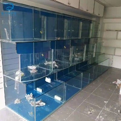 玻璃鱼缸哪里有卖的呀多少钱：如何选择合适的玻璃鱼缸