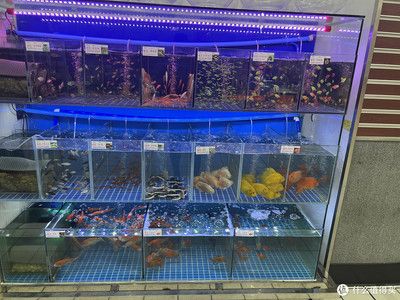 大润发有鱼缸卖吗？：大润发并非专门销售鱼缸的店铺 鱼缸百科 第1张