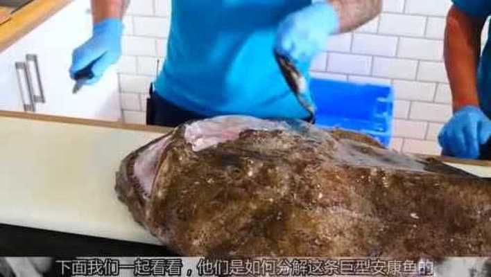 魟鱼食量大吗能吃吗有毒吗视频：魟鱼的食量相对较大，关于魟鱼是否有毒，答案是部分有毒 魟鱼百科 第2张