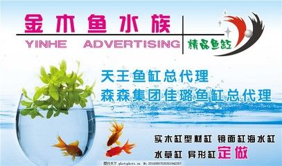 森森水族集团宣片：有关森森水族集团的宣传片有多个资源可供观看