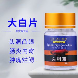 虎鱼蒙眼用大白片可以吗：虎鱼蒙眼用大白片可以吗虎鱼蒙眼用大白片可以吗 虎鱼百科 第2张