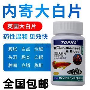 虎鱼蒙眼用大白片可以吗：虎鱼蒙眼用大白片可以吗虎鱼蒙眼用大白片可以吗 虎鱼百科 第3张