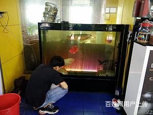 大型鱼缸漏水怎么办妙招：大型鱼缸漏水的原因及处理方法 鱼缸百科 第3张