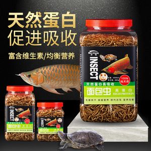 龙鱼下黄粉可以喂食吗：龙鱼下黄粉可以喂食吗龙鱼下黄粉可以喂食吗