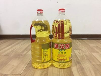 金龙鱼水温低能缓过来吗：金龙鱼在水温过低时翻白肚时是否有机会恢复过来呢 龙鱼百科 第2张