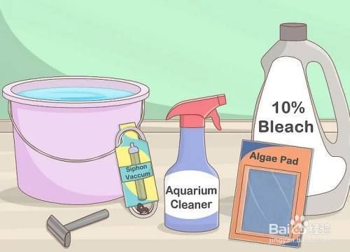 大鱼缸怎么清理玻璃碎屑：如何清理大鱼缸中的玻璃碎屑