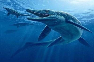 萨斯特鱼龙吃什么：萨斯特鱼龙是三叠纪晚期的一种大型海生爬行动物的食谱
