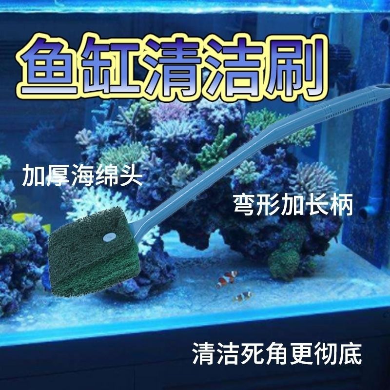 擦鱼缸专用工具有哪些：如何正确使用鱼缸清洁工具