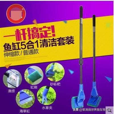 擦鱼缸专用工具有哪些：如何正确使用鱼缸清洁工具