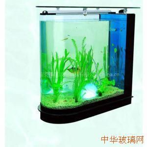 玻璃可以做鱼缸吗：如何选择合适的玻璃鱼缸