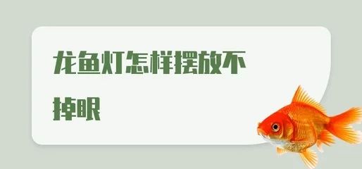 龙鱼灯应该怎样摆放：龙鱼掉眼的原因有很多，龙鱼灯应该怎样摆放龙鱼灯的摆放