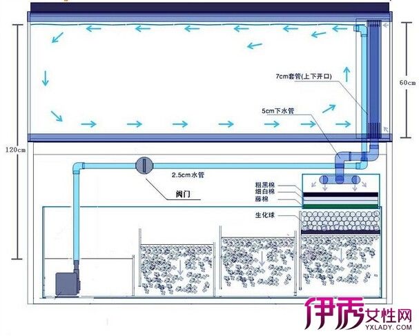 大型鱼缸过滤系统原理 鱼缸百科 第4张