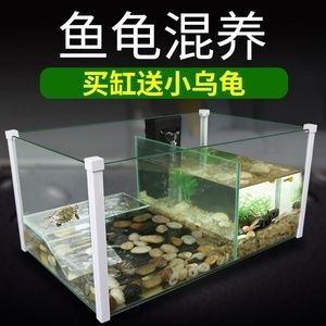 玻璃店的师傅在用玻璃做一个鱼缸：如何自制玻璃鱼缸 鱼缸百科 第4张