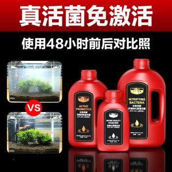 森森的消化细菌能用吗：森森品牌的消化细菌是否能够使用