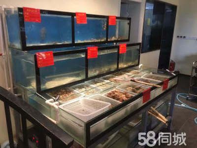 定做超市鱼缸：哪里有定做超市鱼缸的公司 鱼缸百科 第3张