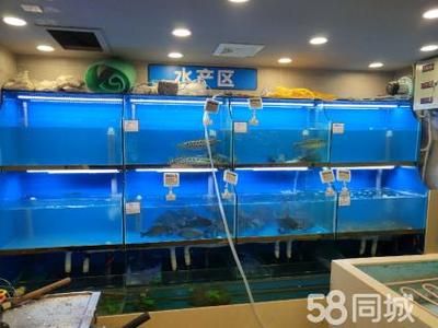 定做超市鱼缸：哪里有定做超市鱼缸的公司 鱼缸百科 第4张