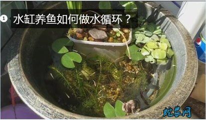 北面阳台放鱼缸好不好：北面阳台放鱼缸有利于财运吗？ 鱼缸百科 第3张