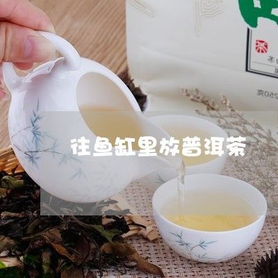 茶水可以倒进鱼缸里吗：普洱茶水倒入鱼缸会对水质和环境产生影响吗？ 鱼缸百科