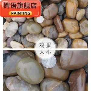 大鱼缸改造龟缸好吗：大鱼缸改造龟缸可行吗？ 鱼缸百科 第4张