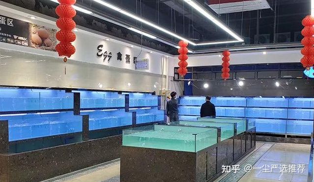 超市鱼缸消毒：广州海鲜超市鱼缸怎么消毒