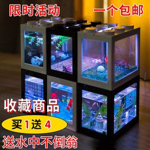 斗鱼缸diy：关于斗鱼缸的diy的建议和步骤 鱼缸百科 第4张