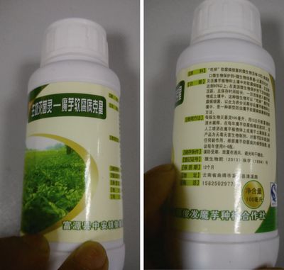 魟鱼细菌性肠炎用灭菌灵：灭菌灵能治疗魟鱼的细菌性肠炎吗 魟鱼百科 第2张