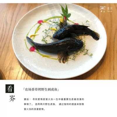 虎鱼好吃不：清蒸虎鱼的做法显示虎鱼不仅美味还具有营养价值 虎鱼百科 第2张