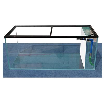 大型鱼缸玻璃钢化吗：大型鱼缸使用钢化玻璃吗 鱼缸 第1张