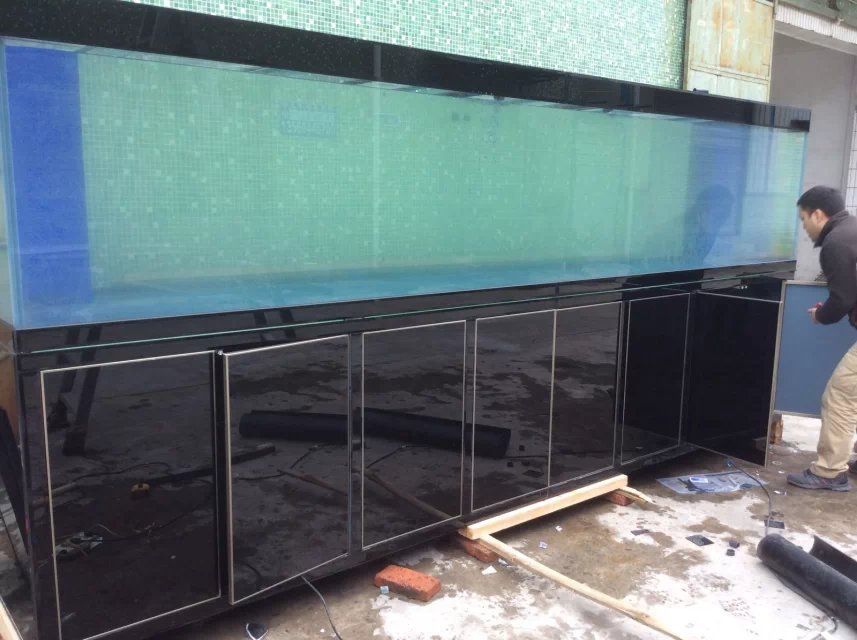 大型鱼缸玻璃钢化吗：大型鱼缸使用钢化玻璃吗 鱼缸 第3张