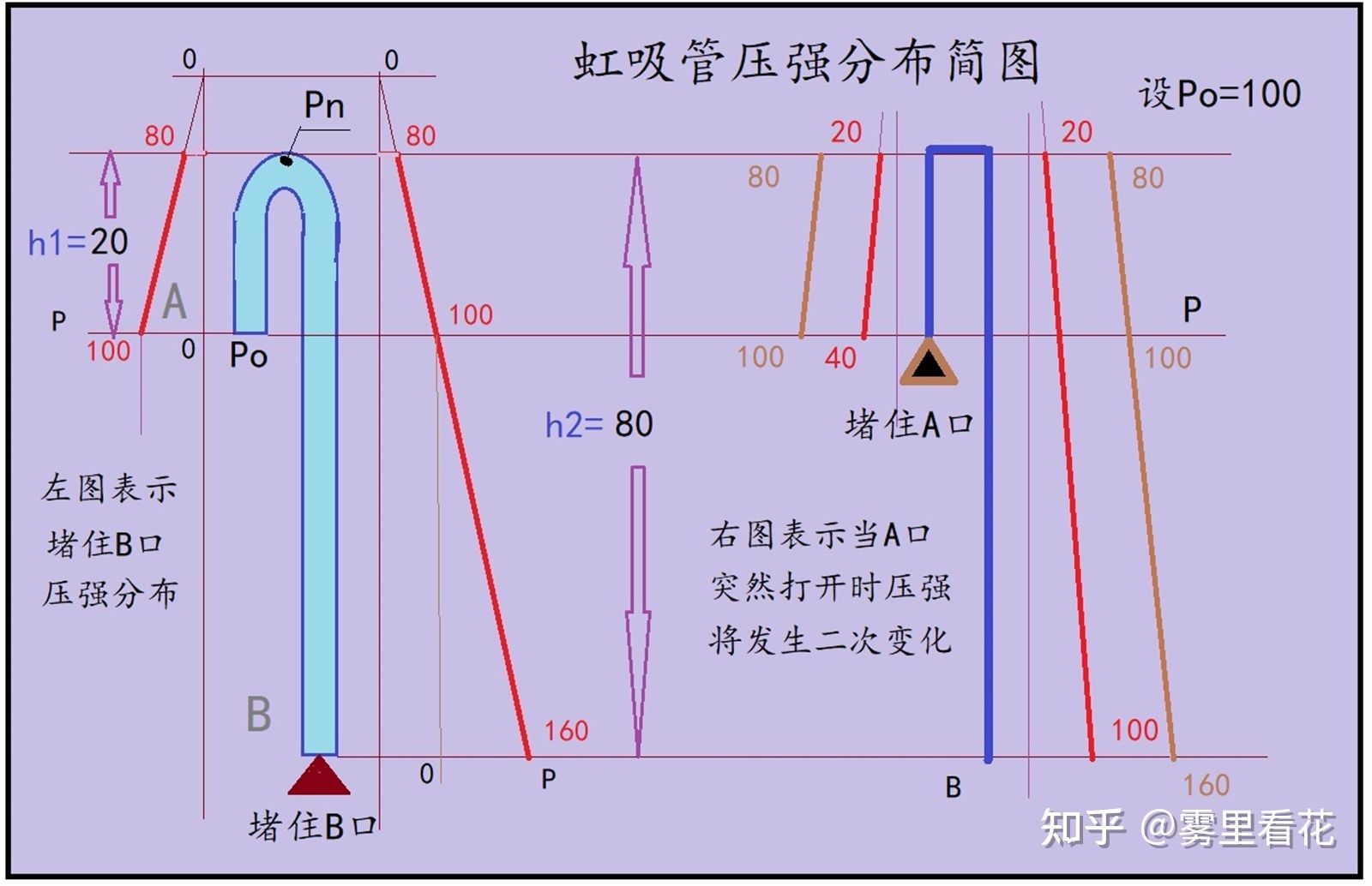 抽鱼缸的水是什么原理：抽鱼缸水的主要原理和操作方法 鱼缸百科 第2张