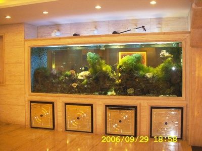 玻璃店定制鱼缸多少钱：无锡鸿颜水族玻璃店定制鱼缸价格在100元左右 鱼缸 第1张