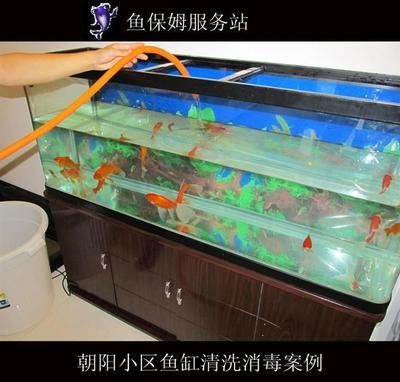 大型鱼缸如何清洗视频教学：大型鱼缸清洗教程 鱼缸百科 第3张